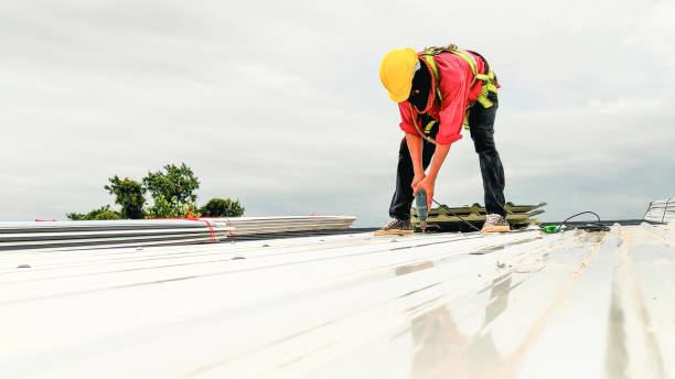 Best Metal Roofing Installation  in Timberlane, IL