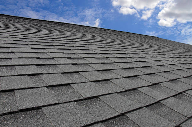 Best Roof Moss and Algae Removal  in Timberlane, IL
