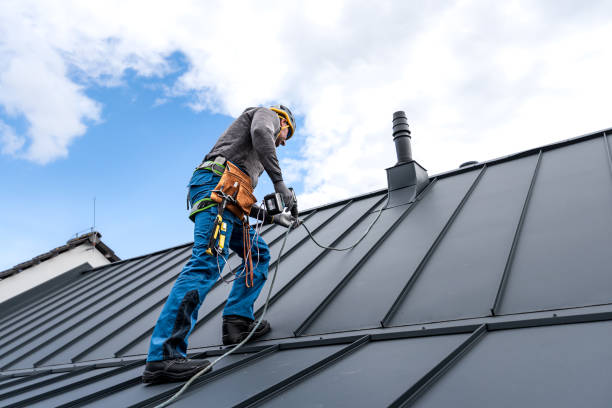 Best 4 Ply Roofing  in Timberlane, IL