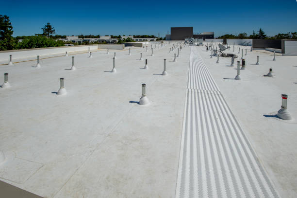 Best Sheet Metal Roofing  in Timberlane, IL
